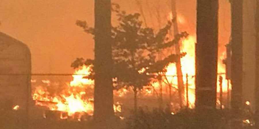 In the heart of a blazing forest fire