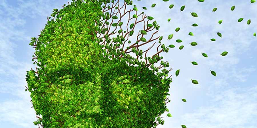 Graphic of a face made of leaves with the top fading.