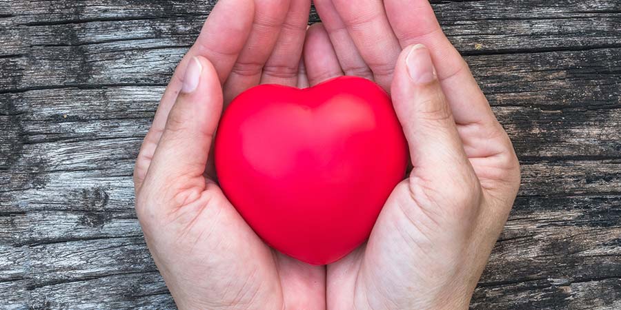 Two hands holding a plastic heart