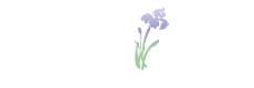 Wild Iris Medical Education, Inc.