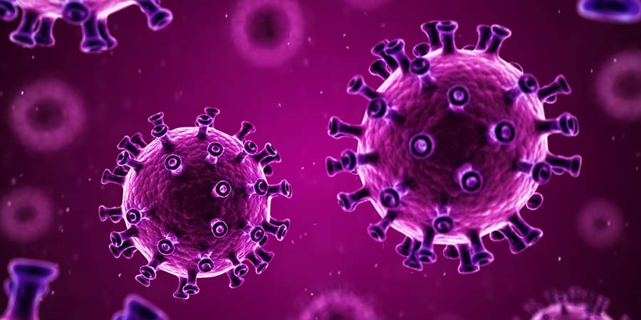 Purple drawing of the COVID-19 virus in different sizes