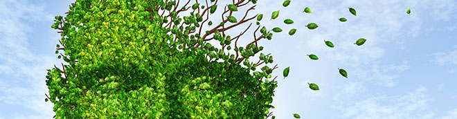 Limited-Time Offer for Dementia: Alzheimer's Disease Patient Care course
